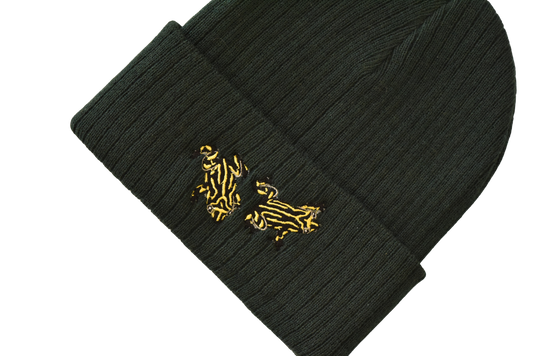 Corroboree Frog Recycled Beanie | Aussie Animal Collection