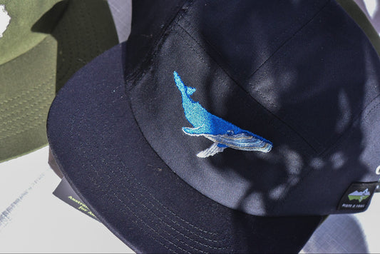 Humpback Whale Embroidered Cap | Aussie Marine Life Collection