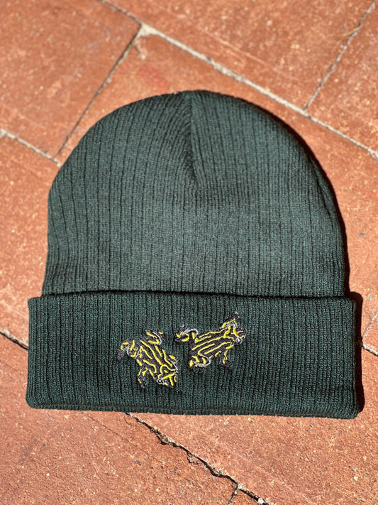 Dark green beanie with embroidered frog design on a red brick surface