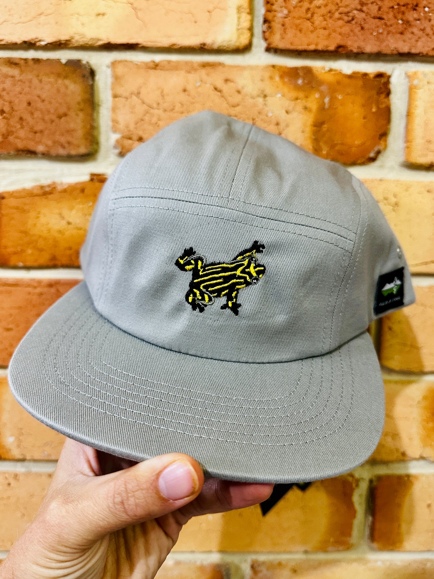 light grey frog cap