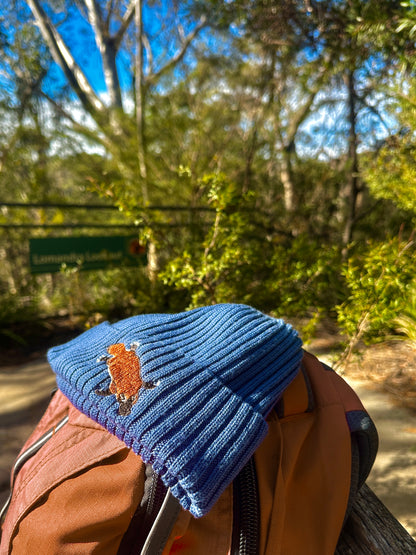 Platypus Australian Merino wool beanie in lake blue