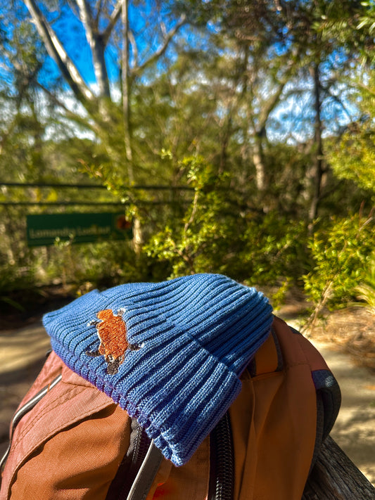Platypus Australian Merino wool beanie in lake blue