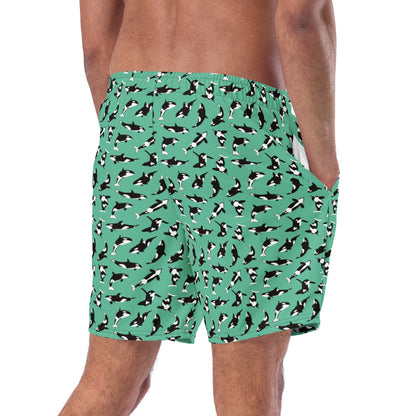 Orcas of Eden UPF50+ Recycled Swim Short - Piste and Trail Board Shorts