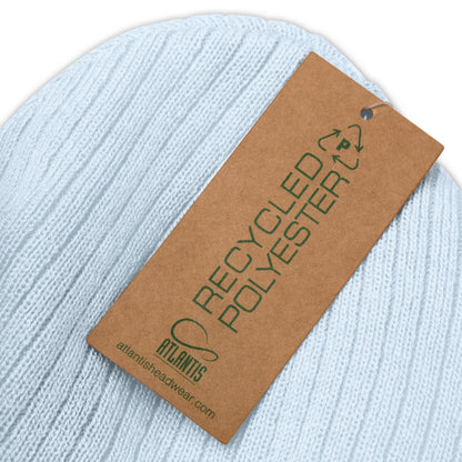 The Best Snowboarder On The Mountain ecoBeanie - Piste and Trail Beanie